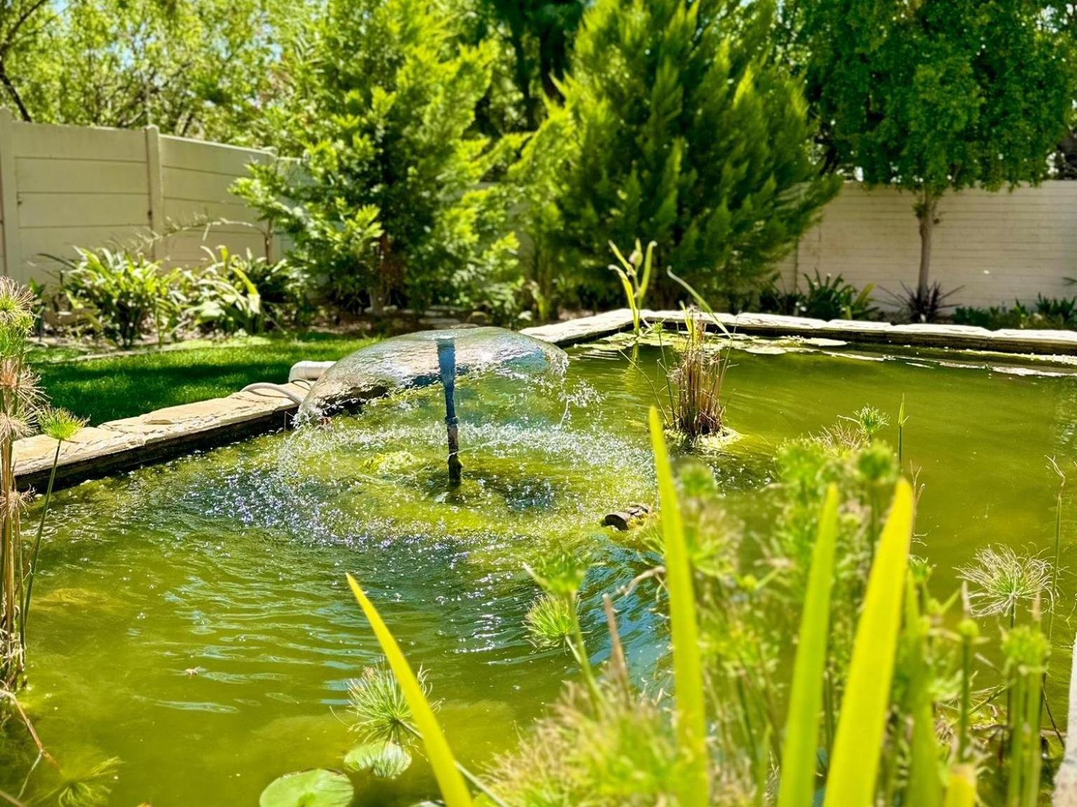 Kliprand Guest House Springbok Εξωτερικό φωτογραφία